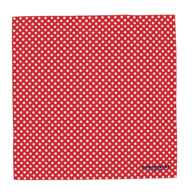 Polka Dots Silk Scarf