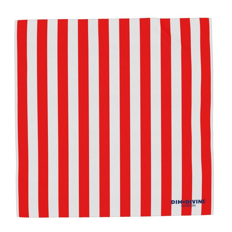 Brighton Beach Silk Scarf