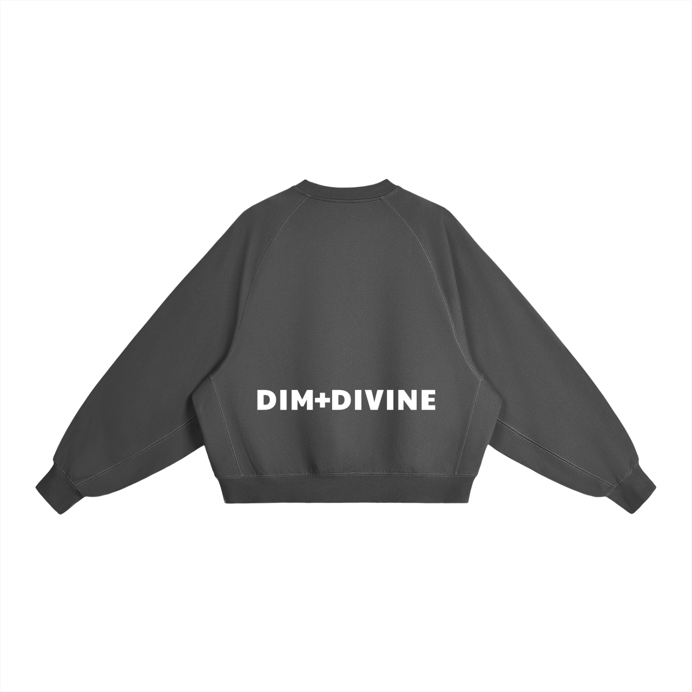 The Infinite Heavyweight Boxy Sweatshirt