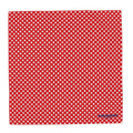 Polka Dots Silk Scarf