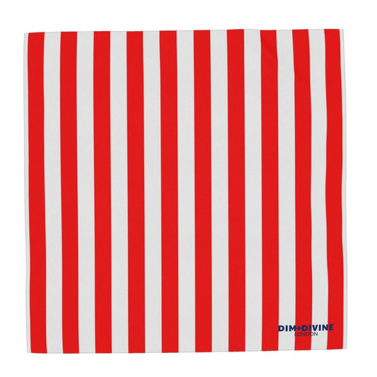 Brighton Beach Silk Scarf